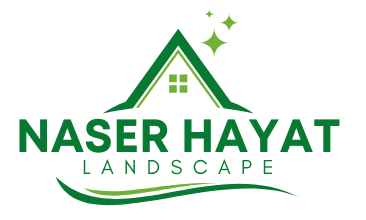 Naser Hayat Landscape
